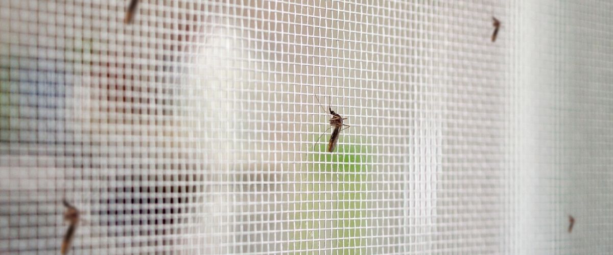 la rete antibatterica delle zanzariere